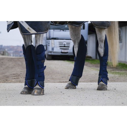 Ekkia equitheme - ekkia,