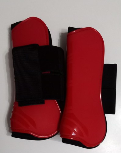Paar rote warmblut pferde - warmblut,